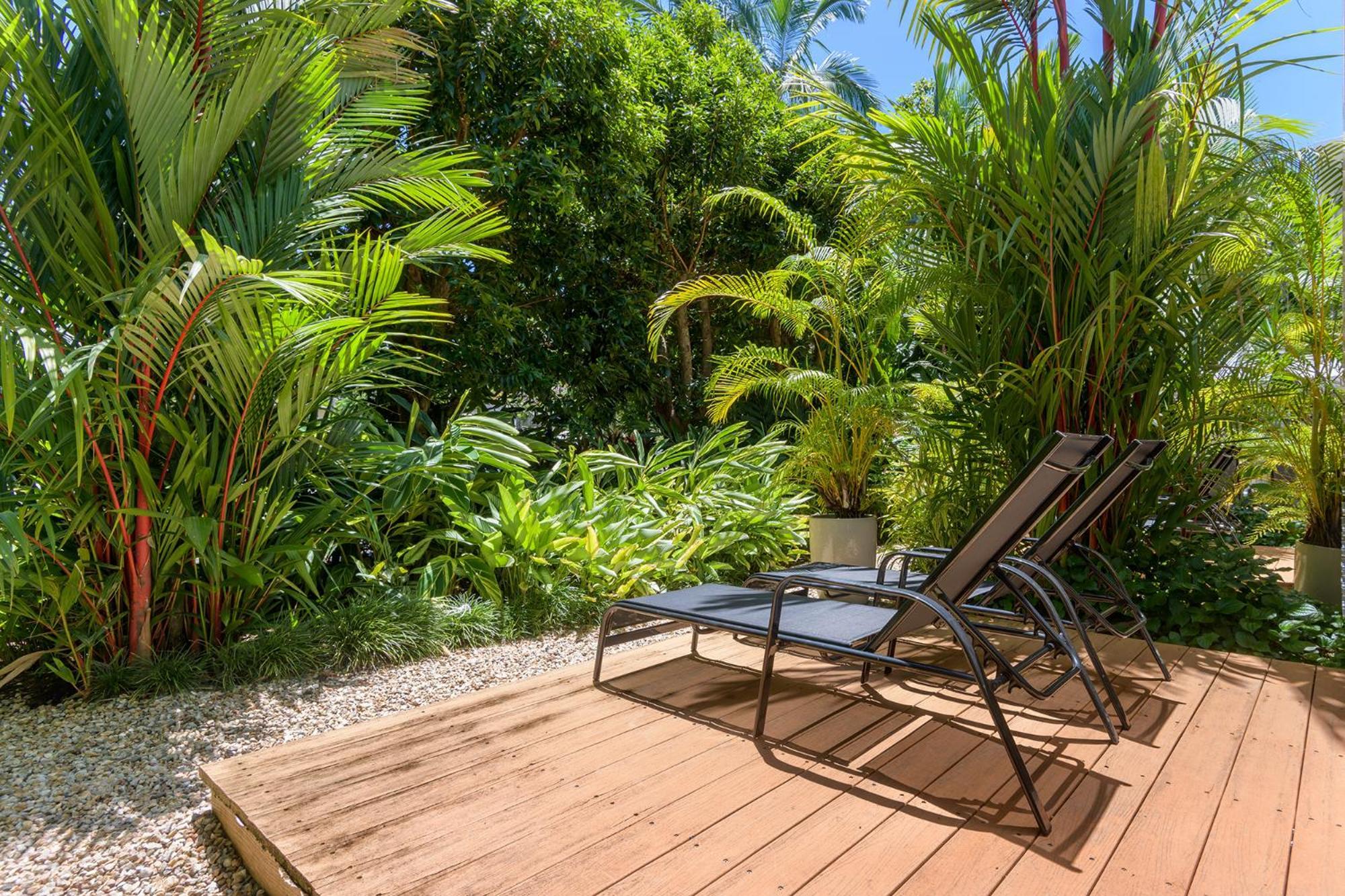 Port Douglas Apartments - Adults Only Oasis מראה חיצוני תמונה